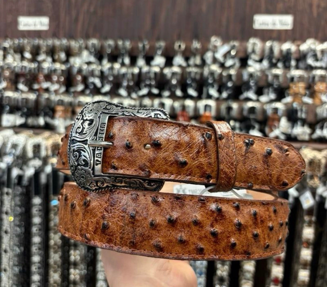 Men belts coñack leathers