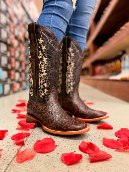 Women boots 072 Tania Chocolate ,