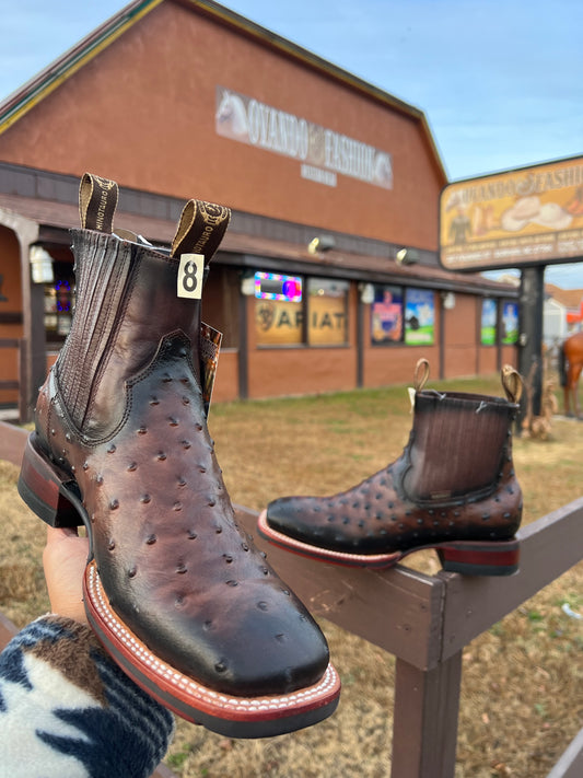 Botin Rodeo Avestruz Africana Cafe Square Toe With Jumper Sole