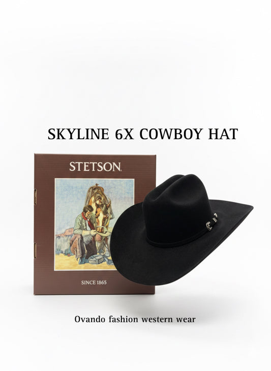 Stetson Hat black 6x