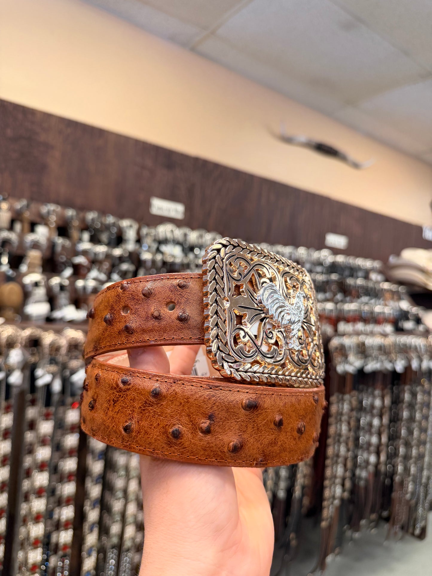 Men western belts brown